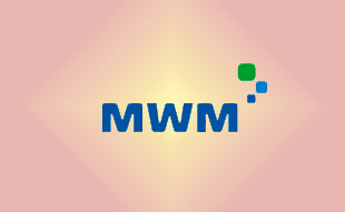 ✓ MWM 0224 7229 Запчасть MWM 